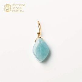 カラーで選ぶチャーム　アマゾナイト･リーフ【Fortune Stone Table】