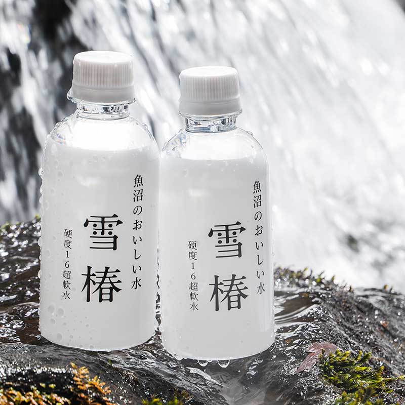 魚沼のおいしい水「雪椿」 290ml×40本入り