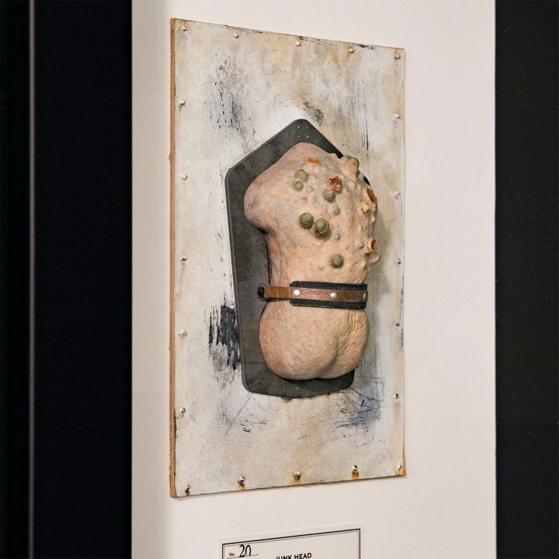 JUNK HEAD』 「クノコ原体」No.20 | JUNK HEAD,JUNK HEAD 一点