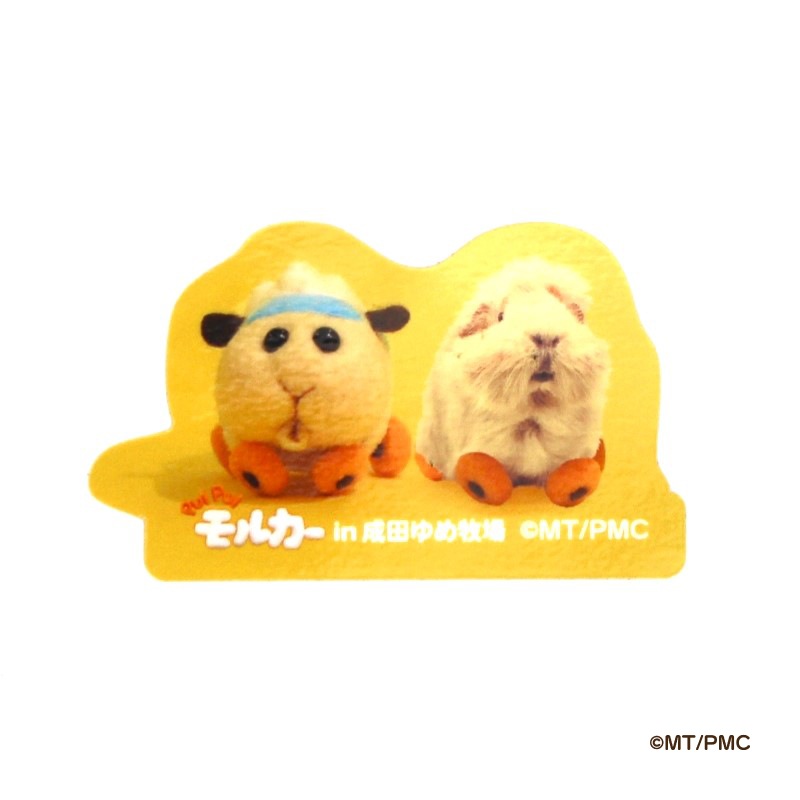 ڴۥƥåAˣ糧åȡPUI PUI 륫inĤҾꥳܥå
