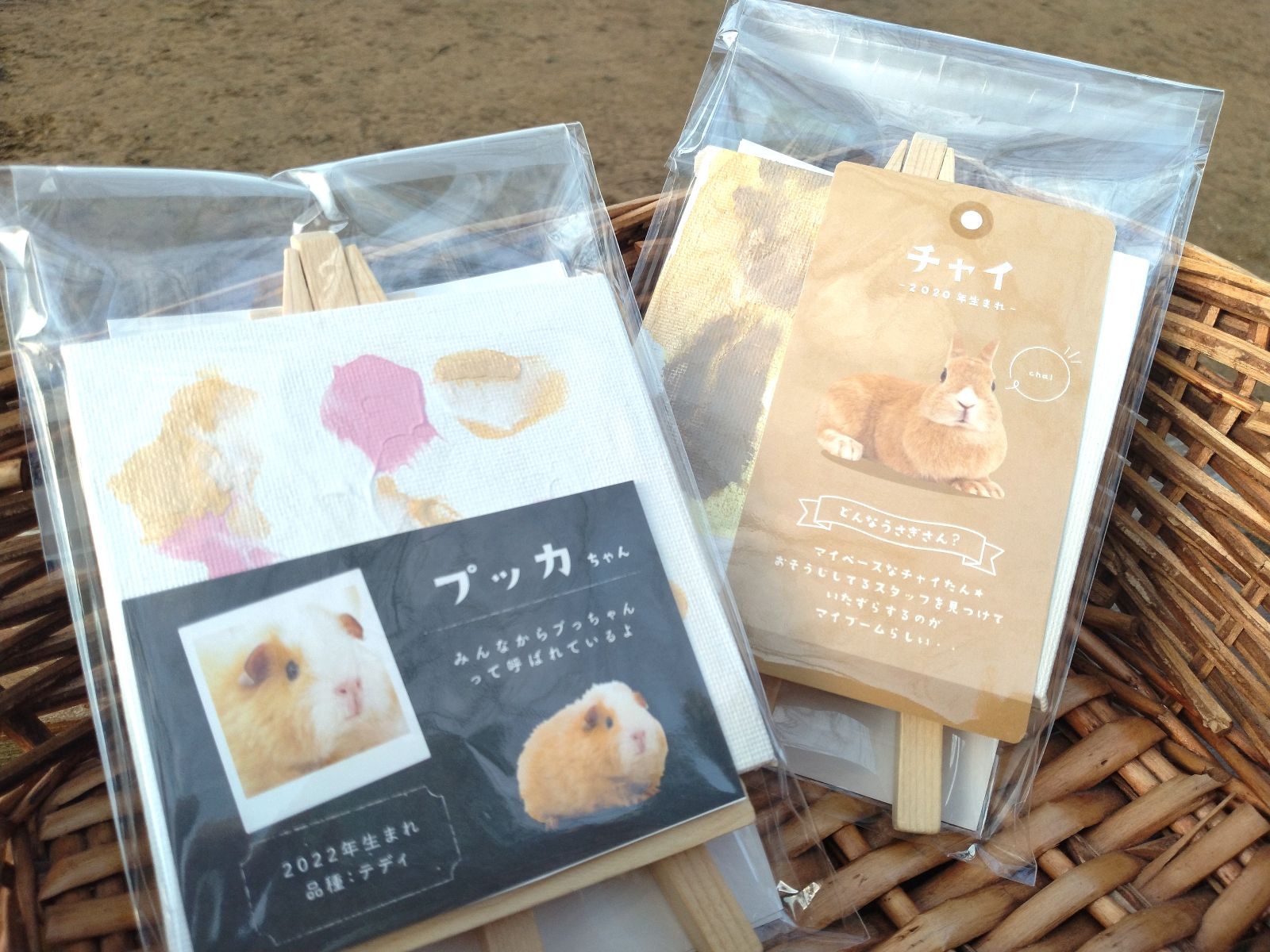 ưʪΤդߤդߥڥȥȡҾΤɤ֤Ĥ1Ĥκ