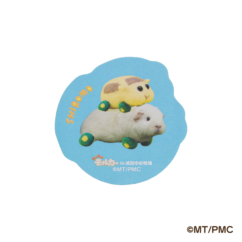 ƥå糧åȡPUI PUI 륫inĤҾ2ndꥳܥå