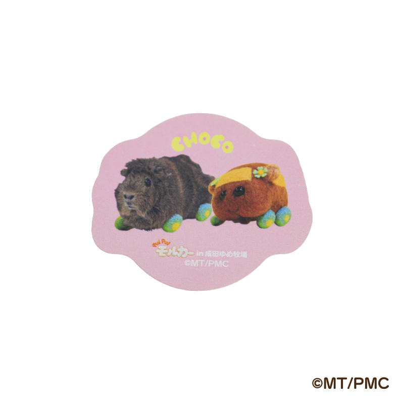 ƥå糧åȡPUI PUI 륫inĤҾ2ndꥳܥå