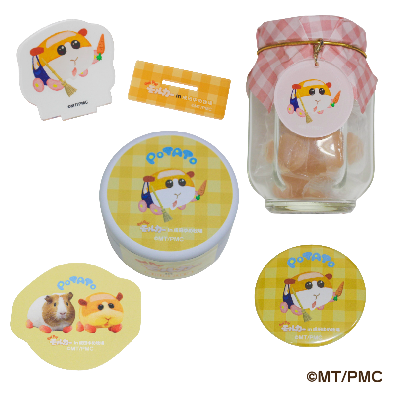 䤷륫5ʥåȡ5ˡ PUI PUI 륫inĤҾ2ndꥳܥå 