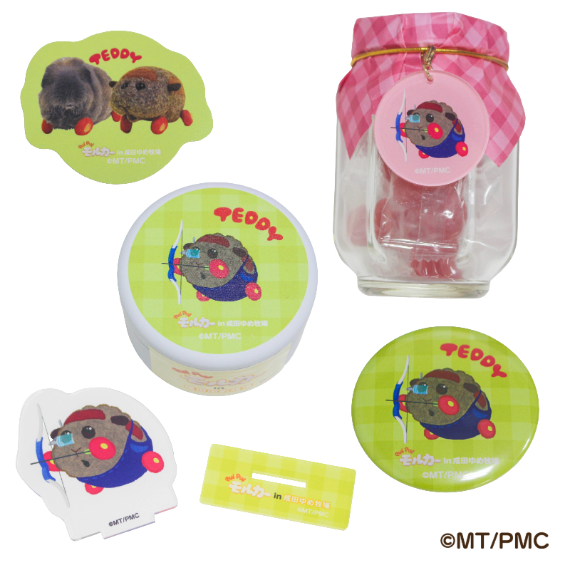 䤷륫5ʥåȡ5ˡ PUI PUI 륫inĤҾ2ndꥳܥå 