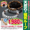 天然磁気ループ ##K9124