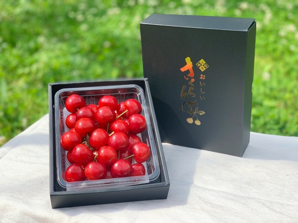 山形県産 佐藤錦 さくらんぼ 特秀品 Lサイズ 300g ##K4967 | 食品 