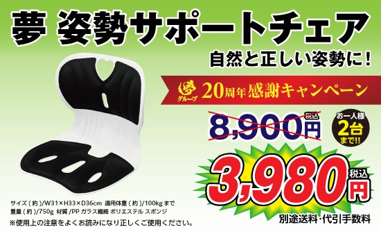 夢 姿勢サポートチェア ##K7020 | すべての商品 | 夢グループ
