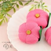 甘美 紅梅(こうばい)