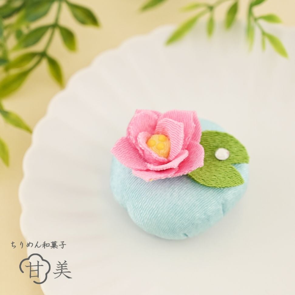 甘美 睡蓮(すいれん)【2026年初夏販売開始】