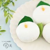 甘美 白つばき(しろつばき)