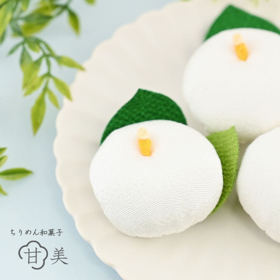 甘美 白つばき(しろつばき)