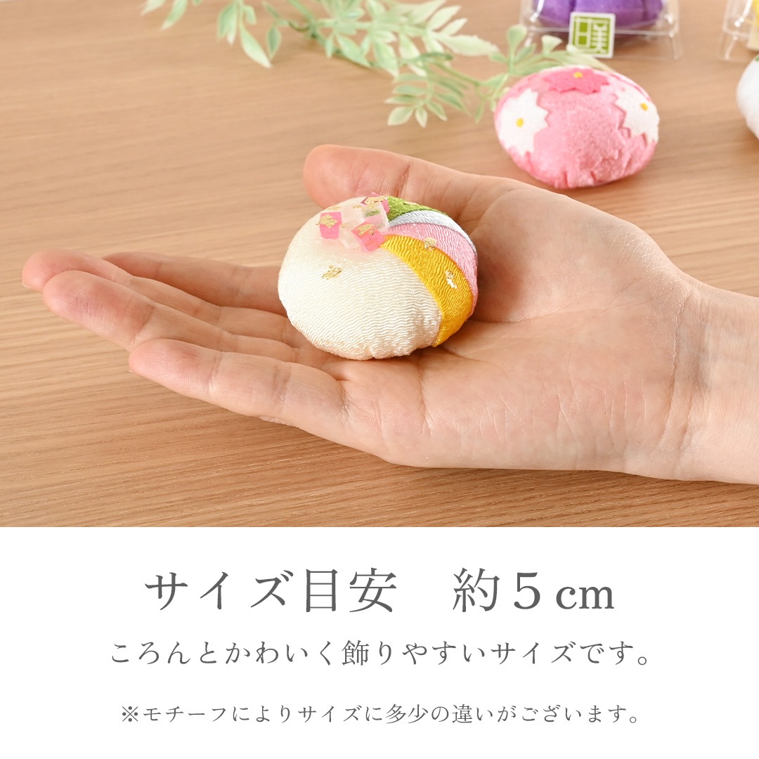 甘美 侘助(わびすけ) 白