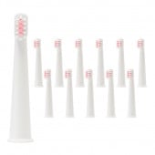 ѥå Fư إ֥饷12ѥȥ˥ԥ