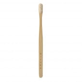 ��YAMAP����͸�������MISOKA Bamboo