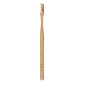��YAMAP����͸�������MISOKA Bamboo ̾�������