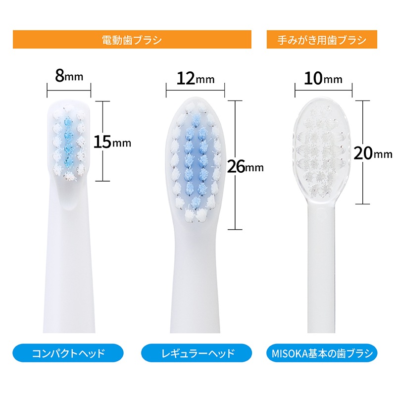 �����ѥå� ��E����ư �إ֥饷��12�������쥮��顼�������˥֥롼