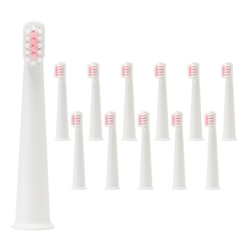 �����ѥå� ��F����ư �إ֥饷��12����������ѥ��ȥ������˥ԥ�