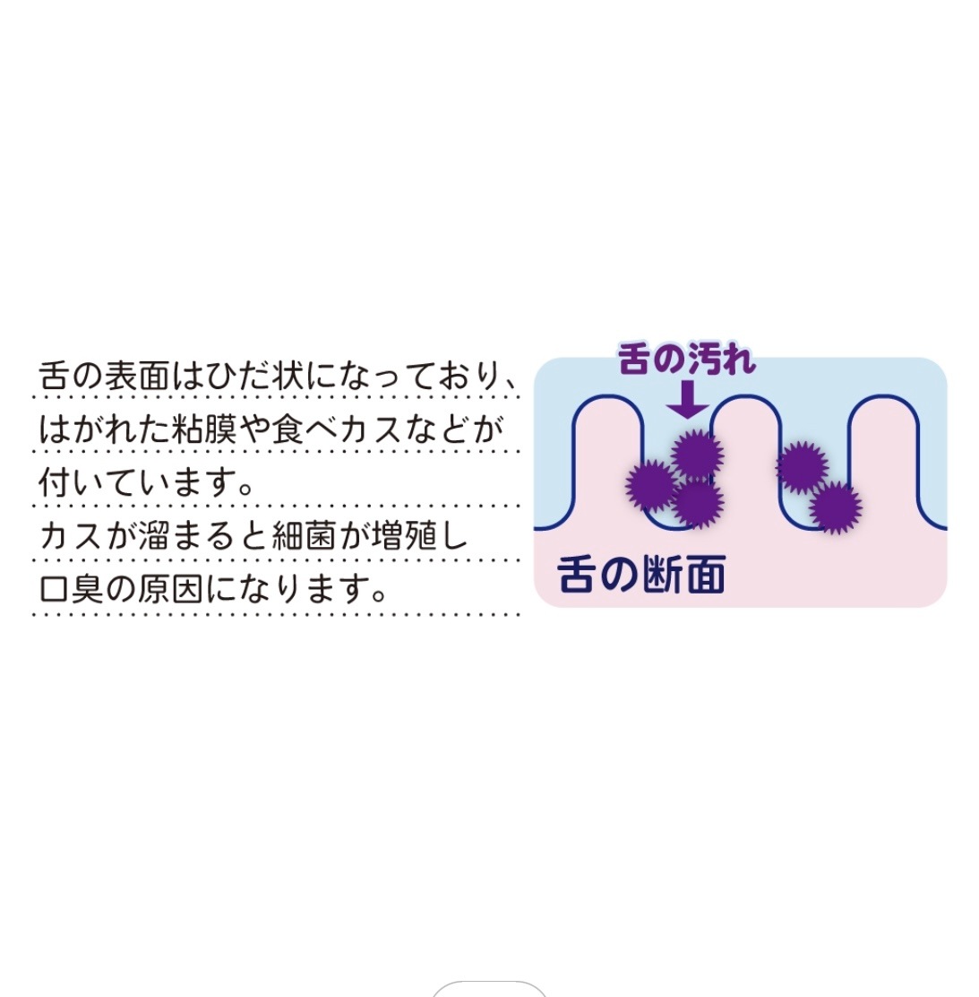 MISOKA ߥ ؤǤ䤵᤯֥饷 1