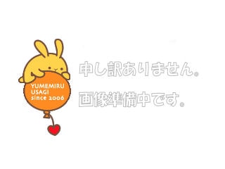 �磻�䡼���Τ�80���ʥ���ե�����80���ѡ�