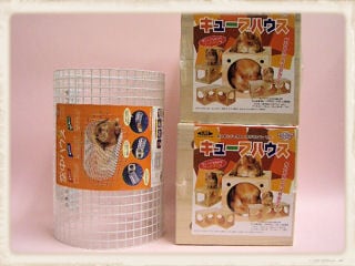 ȹ礻ƤϥNEOܥ塼֥ϥʣġ