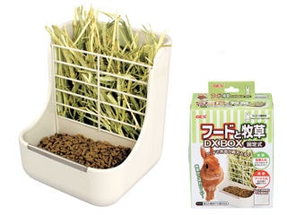 shima33【FOIL5枚セット】薄暗い裏通り　迷路庭園　草萌ゆる玄関 263)《草萌ゆる玄関/Lush Portico》[MKM] 土地R | 日本最大級