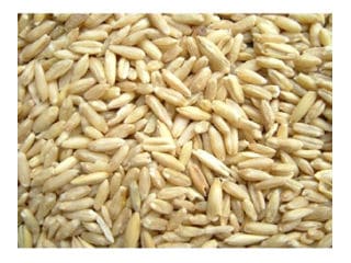 �̥७��������250g