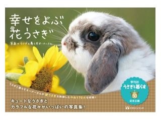 �������ֲ֤�����