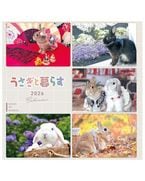 ����������餹��������2026  (�ɳݤ�)