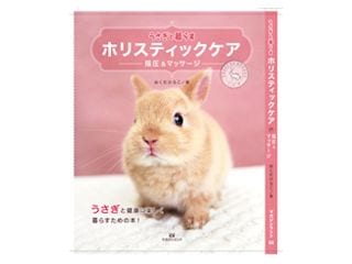 ����������餹���ۥꥹ�ƥ��å��������ذ����ޥå�����