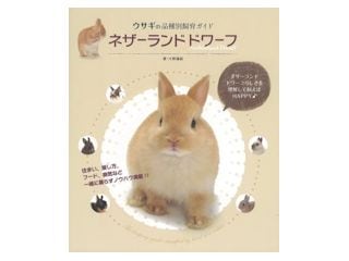 �ͥ������ɥɥ��