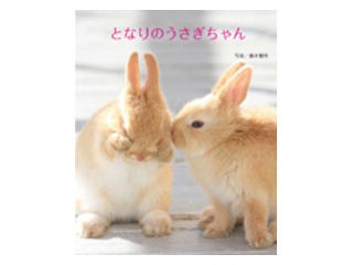 �Ȥʤ�Τ����������