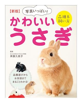 ユメミルうさぎ✿国内作家様作品 ゆめちからブレンド「Reve de Lapin レヴ・ドゥ・ラパン