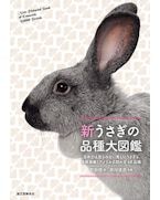 �������������ʼ���޴�