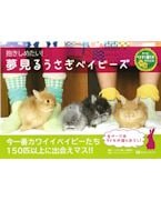 �������᤿��!��̴���뤦�����٥��ӡ���