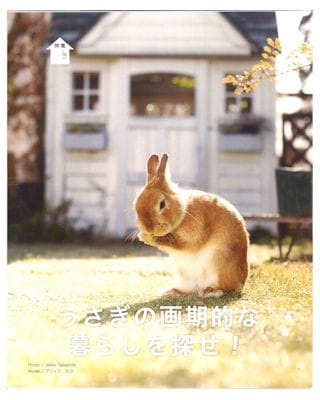 うさぎ。ページ うさぎページ うさぎページ ウサギ うさぎページ うさ