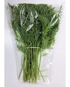 ������Ȫ�֤ˤ󤸤���ա�