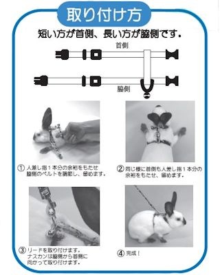 ハァーツ！！！うさぎSSP ヴァイスシュヴァルツブラウ ハァーッ!!!うさぎSSP ヴァイス