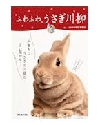 �դ�դ� ����������