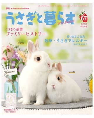 夢うさぎ　1011 セーラーレースうさぎブラウス – レディースファッション通販の