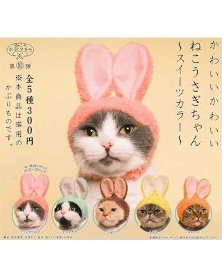 うさぎさん専用 maxresdefault.jpg