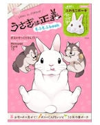 ������������  ��դ��book