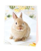 2026ǯ �������� ��� Sweet Rabbit