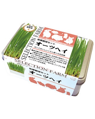 うさぎ用 牧草 牧草栽培セット オーツヘイ | うさぎ用品の購入なら