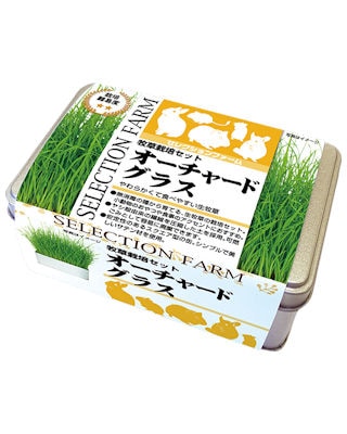 うさぎ用 牧草 牧草栽培セット オーチャードグラス | うさぎ用品