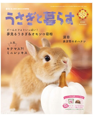うさぎ用 書 籍 うさぎと暮らす No．85 | うさぎ用品の購入