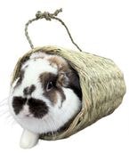 ��������繥�����塼��