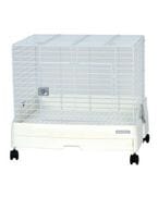 ���������ۡ��२�ܡ������ף� WS���򡢥�䡼���Υ����͡�