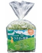 ������������2026�Ƹ���ver��70g