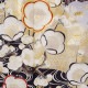 SACRA 白　梅椿に霞（【振袖・袋帯・長襦袢のセット商品です】）